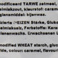 Licorice In Kilobag - K&H Munten Drop (Kraepelien & Holm Coin Licorice / Liquorice) (2.3-Lb)