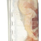 Bell & Evans, Chicken Thigh Bone-In Air Chilled Tray Pack Step 2
