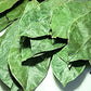 100% Natural Dried Soursop Leaves From Ceylon Sri Lanka 1Oz (28G)