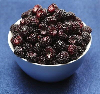 Northwest Wild Foods Fresh Frozen Black Raspberries - 9 Pound Pack for Smoothies, Pies, Jams, and Syrups