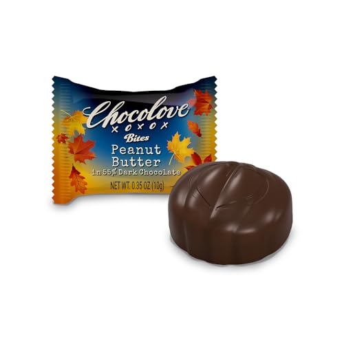 CHOCOLOVE Dark Chocolate Peanut Butter Bites  7.05 OZ