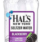 Hal's New York Seltzer Water Variety Pack, 20 Fl Oz (24 Count) - Refreshing Flavors for Ultimate Hydration