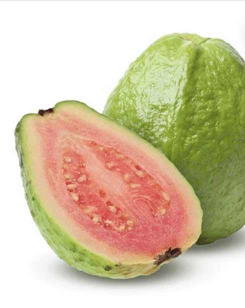 Bocadillo Veleno De Guayaba/Guava Paste 18 Unidades 550 G / 19.4 Oz En Caja De Madera Envuelto En Su Hoja Tradicional Importado