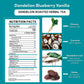 Dandelion Blueberry Vanilla Roasted Herbal Tea