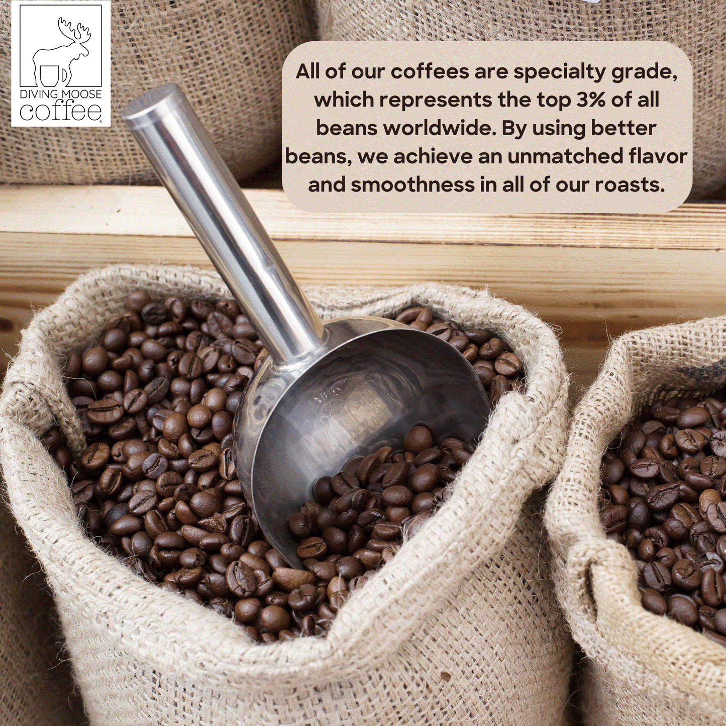 The Rhinoceros - Indonesia Sumatra Gayo Organic Medium-Dark Roast