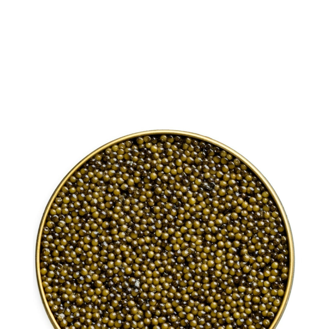 Osetra Reserve 500 g (17.6 oz)