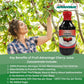 Tart Cherry Juice Concentrate