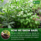 Premium Dried Basil – 100% Pure, Non-GMO, Gluten-Free, Vegan – Aromatic Culinary Herb for Cooking, Garnish, and Seasoning