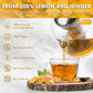 Premium Lemon, Ginger Herbal Blend Tea Bag | Improve Digestion, Support Brain, Weight, Skin and Sleep, Eco-Conscious Tea Bags