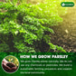 Premium Dried Parsley Leaves – 100% Pure, Non-GMO, Gluten-Free, Vegan – Aromatic Culinary Herb for Cooking, Garnish, and Seasoning