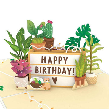 Happy Birthday Plants 5''x7'' Card, Birthday Cards