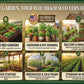 30 Seed Packet Vault: Heirloom, Non-GMO Vegetable Seed Packets