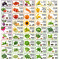 50 Varieties - Heirloom Vegetable & Herb Long-Term Seed Vaults – USA Grown, Non-GMO - 50,000 Seeds