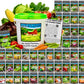 50 Varieties - Heirloom Vegetable & Herb Long-Term Seed Vaults – USA Grown, Non-GMO - 50,000 Seeds