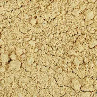 Indus Organics Coriander Seeds Powder, 8 Oz Jar, Premium Grade, High Purity, Freshly Packed
