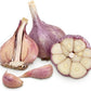 Heirloom Red Garlic (Chesnok) Russian Red Jumbo For Eating & Planting