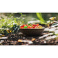 Black Forest Gummy Bears Candy, 5-Pound Bulk Bag