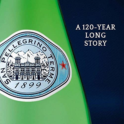 San Pellegrino 500Ml Pet 16.9-Ounce (Pack Of 24)