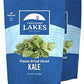 Thousand Lakes Freeze Dried Vegetables - Diced Kale 2-Pack 1 Ounce (2 Ounces Total) | 100% Kale Flakes | No Salt Added