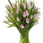 KaBloom Flowers -Valentine's Day Collection - 20 Pink Tulips without vase, Gift for Birthday, Sympathy, Anniversary, Get Well, T