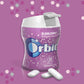 Orbit Bubble Gum Cups, Bubble Mint, 55 pieces bottle, 4-Count