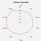 Roastika - Premium Green Coffee Bean - Ethiopia Yirgacheffe - 5Lb - Single Origin - Unroasted Coffee Bean