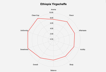Roastika - Premium Green Coffee Bean - Ethiopia Yirgacheffe - 5Lb - Single Origin - Unroasted Coffee Bean