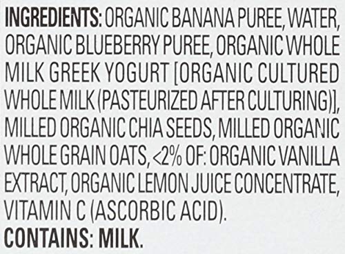 Happy Tot Baby Organic Banana Blueberry Yogurt & Oats Super Morning, 4 Oz