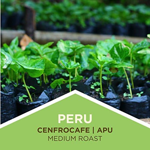 Tiny Footprint Coffee Fair Trade Organic Peru APU Medium Roast Whole Bean Coffee 48 Ounce