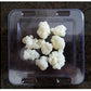 Microbiota, Inc. Fresh Milk Kefir Grains - 0.01 Ounce (Pack of 100) - White