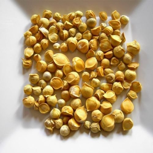 Snow Mountain Garlic Allium Sativum Kashmiri Whole 50Grams