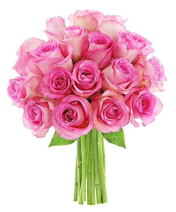 KaBloom Flowers - 12 Pink Roses - Gift for Birthday, Sympathy, Anniversary - Model KADF-VD-276-A999 - Sweet Pink