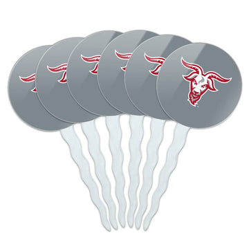 WPI Secondary Logo Cupcake Picks Toppers Decoration Set of 6