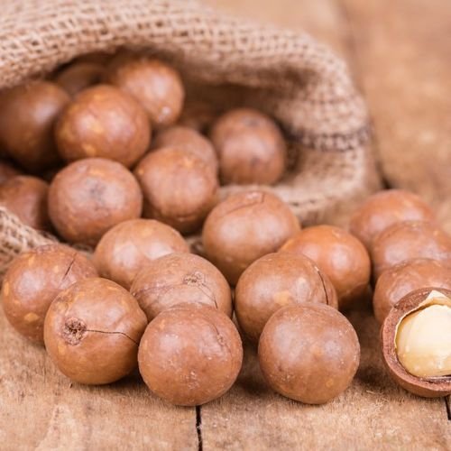 Sanmac Farms Macadamia Nuts in Shell - Medium Size (1 LB) - Whole, Premium Quality Snack for Health Enthusiasts