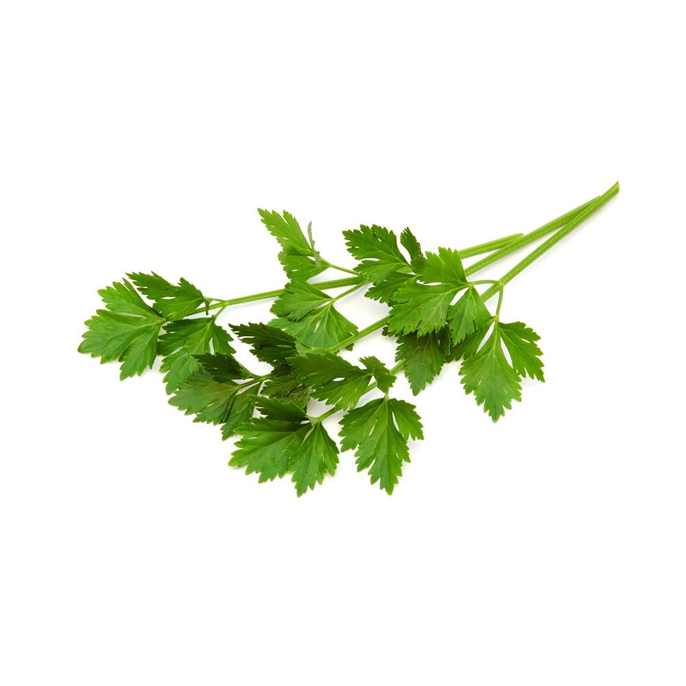 Biokoma Organic Lovage Dried Leaves 50g - USDA Certified, No Additives, Resealable Pouch