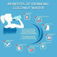 Earth Circle Organics Dried Coconut Water Powder, Unsweetened, Vegan, Gluten Free, 5lbs