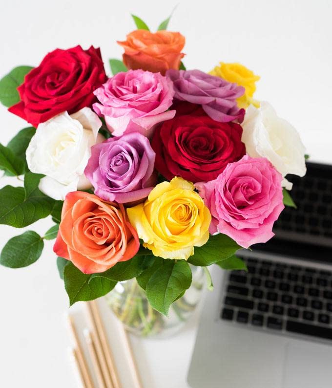 From You Flowers - One Dozen Rainbow Roses with Glass Vase | Fresh Flower Bouquets for Birthday  Anniversary  Get Well or Celebration