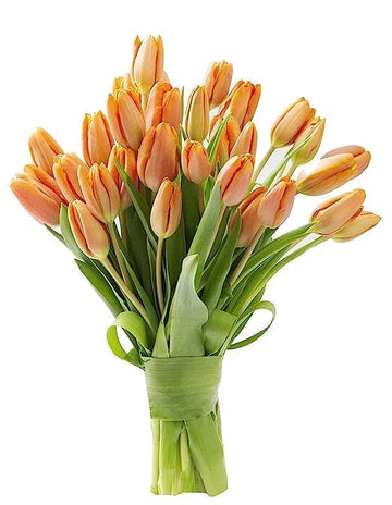KaBloom Flowers - Bloomia collection - 15 Orange Tulips Without Vase - Gift for Birthday, Sympathy, Anniversary, Get Well, Thank