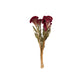 Vickerman Natural Botanicals 18-24'' Burgundy Dried Celosia Coxcomb 4 Oz. Bunch.
