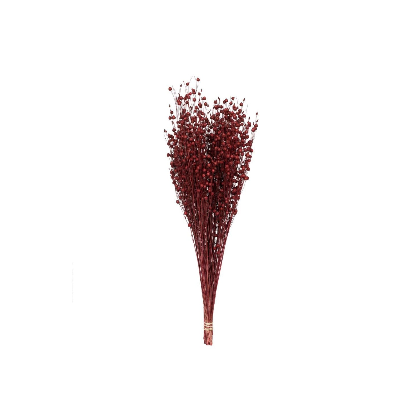 Vickerman Natural Botanicals 20-22" Red Dried Flax Linum, 4 Oz. Bunch.