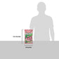 Watermelon Frooties - Tootsie Roll Chewy Candy - 360 Piece Count, 38.8 Oz Bag