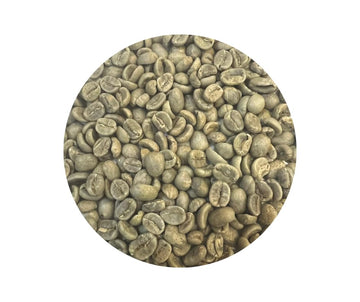 Roastika - Premium Green Coffee Bean - Costa Rica Tarrazu - 5lb Single Origin - Unroasted Coffee Bean