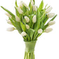 KaBloom PRIME NEXT DAY DELIVERY - Fall Collection - PREMIUM 20 White Tulips - Farm Fresh Cut Flowers. Gift for Birthday, Sympath