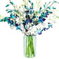 20 Blue and White Orchids with Vase