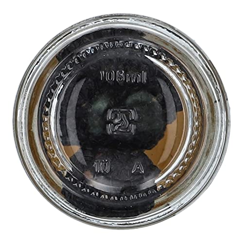 Whole Black Summer Truffles (0.88 Ounce) Glass Bottle By Tartufi Le Ife