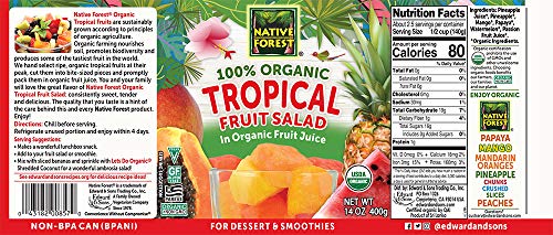 Native Forest Organic Tropical Fruit Salad, 14 Ounce Cans (Pack of 6)