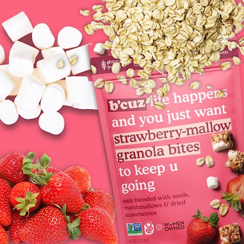 B'Cuz Granola Bites Variety Pack - Gluten Free, Healthy, Dairy Free, Vegan Snacks - 8 Count