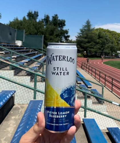 Waterloo Still Water, Meyer Lemon Blueberry | Naturally Flavored Purified Water | 12 Fl Oz Cans (Pack of 12) | Zero Calories | Z