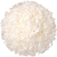 Shredded Coconut, 25 Pounds - Unsweetened Coconut Flakes, Desiccated, Kosher, Vegan, Bulk. No Sulfites Added. Rich In Dietary Fi