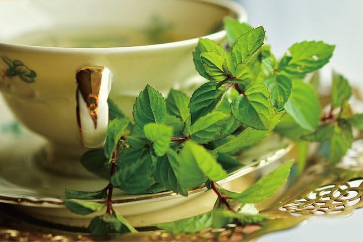 Damtuh Peppermint Tea - 100% Pure Herbal Tea, Caffeine-Free, 10 Tea Bags (1g each)